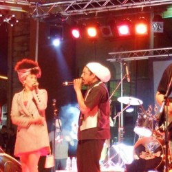 sunshine reggae - artists