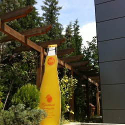 ΣΙΝΕ ΨΥΧΙΚΟ (14)